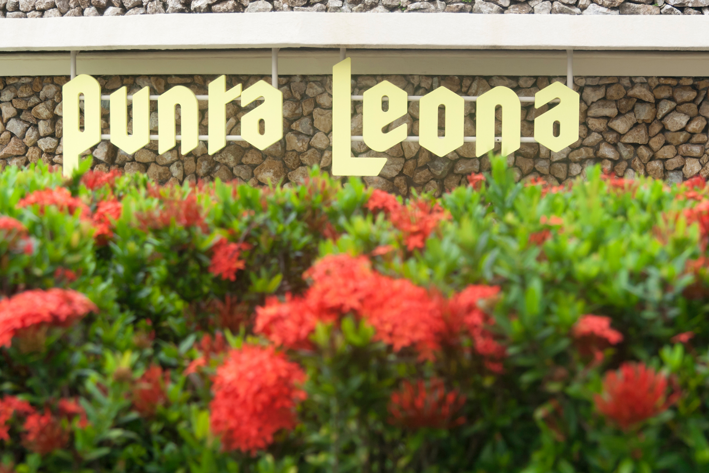 punta leona.webp